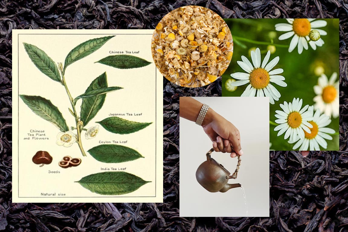 Tea Lab with Raazi Tea