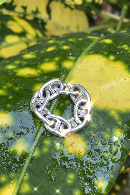 The Charmer Ring