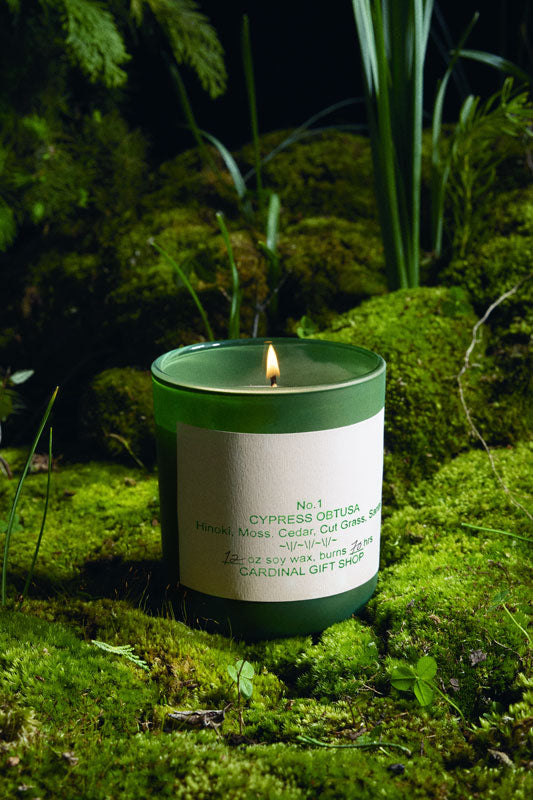 Cypress Obtusa Scented Candle